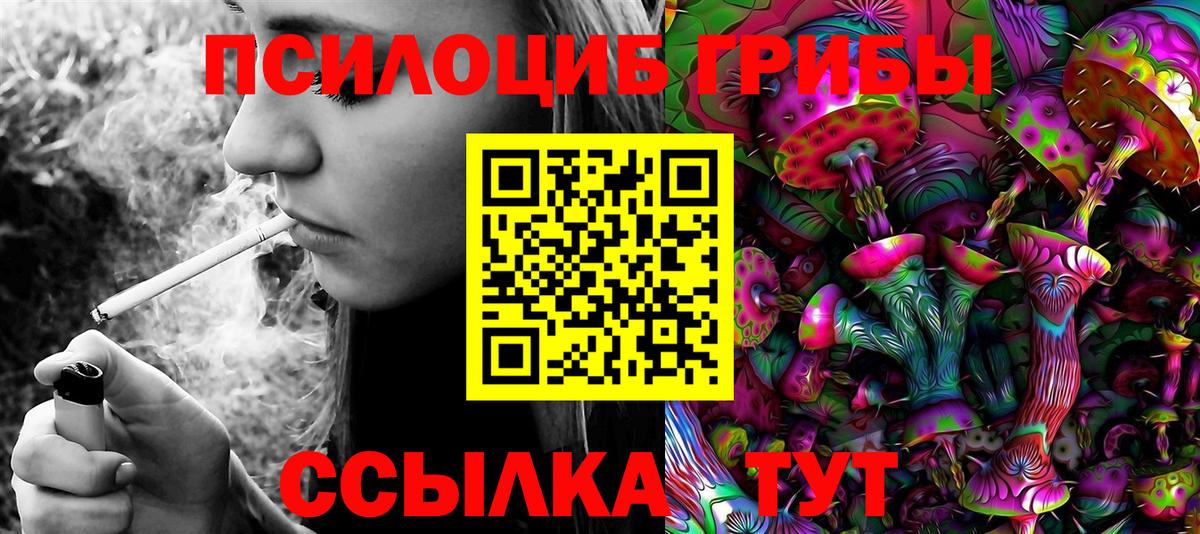 Псилоцибиновые грибы GOLDEN TEACHER Майский
